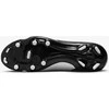 Nike Avalynė Vyrams Legend 10 Club Fg/Mg Baltas DV4344 100