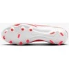 Nike Avalynė Vyrams Legend 10 Club Fg/Mg Hot Lava DV4344 800