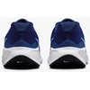 Nike Avalynė Vyrams Revolution 7 Mėlyna FB2207 406