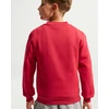 Nike Džemperis Paaugliams K Nsw Club Crew Ls Lbr Fl Raudona FD3006 608
