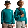 Nike Džemperis Paaugliams K Nsw Club Crew Ls Lbr Fl Turquoise FD3006 372