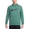Nike Džemperis Vyrams M Nk Df Hdie Po Swsh Žalias CZ2425 361