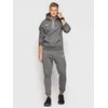 Nike Džemperis Vyrams NK Men Park 20 Fleece Hoodie Pilkas CW6894 071