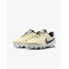 Nike Futbolo Avalynė Paaugliams Jr Legend 10 Club Fg/Mg Geltona DV4352 700