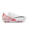 Nike Futbolo Avalynė Paaugliams Jr Vapor15 Club Fg/Mg Wite DJ5958 600