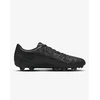 Nike Futbolo Avalynė Vyrams Legend 10 Club Fg/Mg Juodas DV4344 002