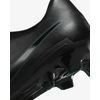 Nike Futbolo Avalynė Vyrams Legend 10 Club Fg/Mg Juodas DV4344 002