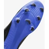 Nike Futbolo Avalynė Vyrams Phantom Gx Club Fg/Mg Juodas Mėlyna DD9483 040