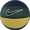 Nike Krepšinio Kamuolys Playground 4P L James Geltona Mėlyna Žalias N0002784 490
