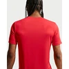 Nike Marškinėliai Vyrams M Nk Df Tee Std Flex Raudona IO1425 657