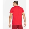 Nike Marškinėliai Vyrams Nk Df Superset Top Ss Coral CZ1219 814