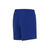 Nike Maudymosi Šortai Paaugliams Nk B Ess 4'' Volley Short Mėlyna NESSB866 494