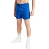 Nike Maudymosi Šortai Paaugliams Nk B Lgo Tape 4'' Volley Short Mėlyna NESSD794 494