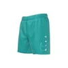 Nike Maudymosi Šortai Paaugliams Nk B Split Lgo 4'' Volley Short Mėlyna NESSC781 486