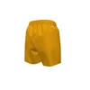 Nike Maudymosi Šortai Paaugliams Nk B Split Lgo 4'' Volley Short Geltona NESSC781 818
