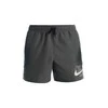 Nike Maudymosi Šortai Vyrams Logo Solid 5""In Short Gray NESSA566 018