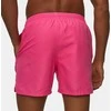Nike Maudymosi Šortai Vyrams M Ess 5" Volley Short Rožinė NESSF560 656
