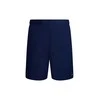 Nike Maudymosi Šortai Vyrams M Ess 7"Volley Short Navy NESSA559 440