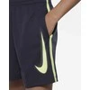 Nike Šortai Paaugliams B Nk Df Multi + Short Gx Pilkas DX5361 015