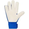Nike Vartininko Pirštinės Paaugliams Nk Gk Match Jr-Ho24 Mėlyna HQ0258 458