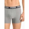 Puma Apatiniai Vyrams Basic Boxer Pilkas