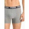 Puma Apatiniai Vyrams Basic Boxer Pilkas