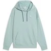 Puma Džemperis Moterims Ess Elevated Comf Mint 685018 67