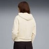 Puma Džemperis Moterims Ess Elevated Hoodie Fl rusvai gelsvas 688100 99