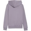 Puma Džemperis Moterims Ess+ Embroidery Hoodie Lilac 670004 30