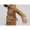 Puma Džemperis Moterims Ess+ Embroidery Hoodie Brown 670004 74