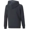 Puma Džemperis Paaugliams Active Sports Full-Zip Hoodie Mėlyna 670075 43
