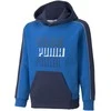 Puma Džemperis Paaugliams Alpha Hoodie FL Mėlyna 589275 63