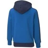 Puma Džemperis Paaugliams Alpha Hoodie FL Mėlyna 589275 63