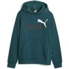 Puma Džemperis Paaugliams Ess + 2 Col Big Logo Žalias 586987 75