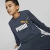 Puma Džemperis Paaugliams Ess + 2 Col Big Logo Navy 586986 16