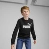 Puma Džemperis Paaugliams Ess + 2 Col Big Logo Fl Juodas 586986 60