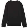 Puma Džemperis Paaugliams Ess + 2 Col Big Logo Fl Juodas 586986 60
