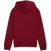 Puma Sportinis Kostiumas Paaugliams TeamRise Tracksuit Jr Juodas 658655 03