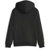 Puma Džemperis Paaugliams Ess+ 2 Col Big Logo Fz Juodas 586987 41
