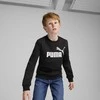 Puma Džemperis Paaugliams Ess + 2 Col Big Logo Fl Juodas 586986 60
