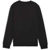 Puma Džemperis Paaugliams Ess + 2 Col Big Logo Fl Juodas 586986 60