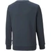 Puma Džemperis Paaugliams Ess + 2 Col Big Logo Navy 586986 16