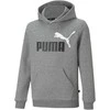 Puma Džemperis Paaugliams Ess + 2 Col Big Logo Pilkas 586987 03