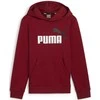 Puma Sportinis Kostiumas Paaugliams TeamRise Tracksuit Jr Juodas 658655 03