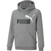 Puma Džemperis Paaugliams Ess + 2 Col Big Logo Pilkas 586987 03