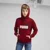 Puma Sportinis Kostiumas Paaugliams TeamRise Tracksuit Jr Juodas 658655 03