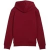 Puma Sportinis Kostiumas Paaugliams TeamRise Tracksuit Jr Juodas 658655 03