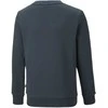 Puma Džemperis Paaugliams Ess + 2 Col Big Logo Navy 586986 16