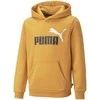 Puma Džemperis Paaugliams Ess + 2 Col Big Logo Geltona 586987 30