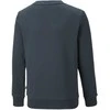 Puma Džemperis Paaugliams Ess + 2 Col Big Logo Navy 586986 16